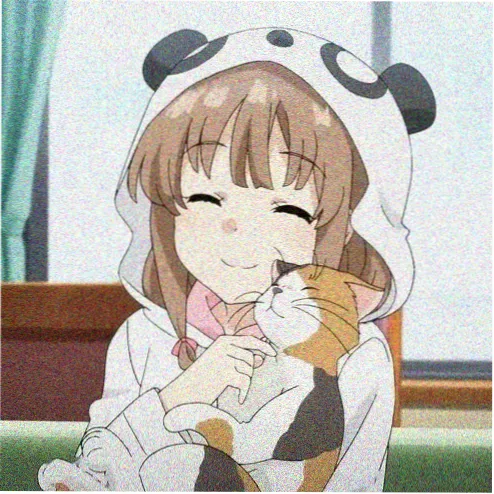 会员头像
